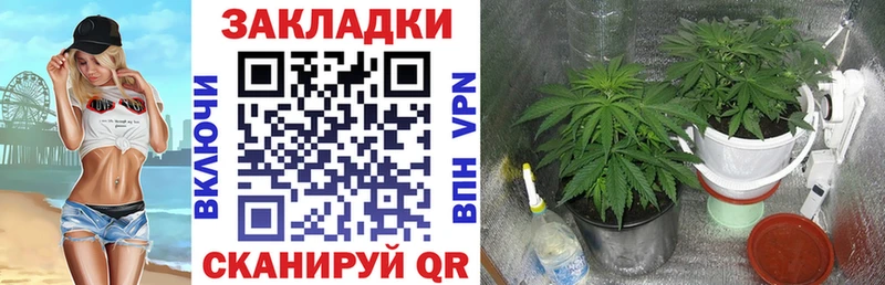 Наркошоп купить ГАШИШ  СОЛЬ  Мефедрон  Метадон  Конопля  Десногорск