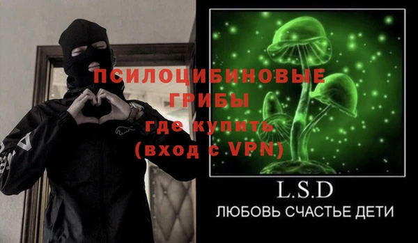 гашик Кодинск