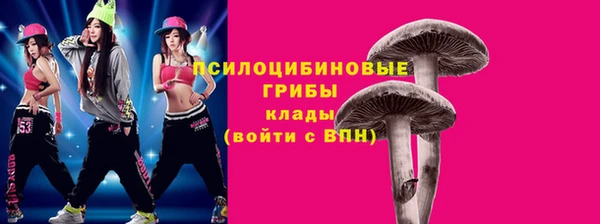 гашик Кодинск