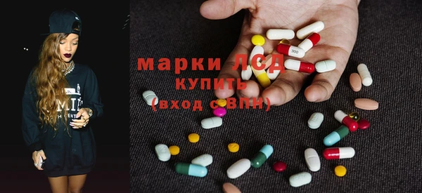 гашик Кодинск