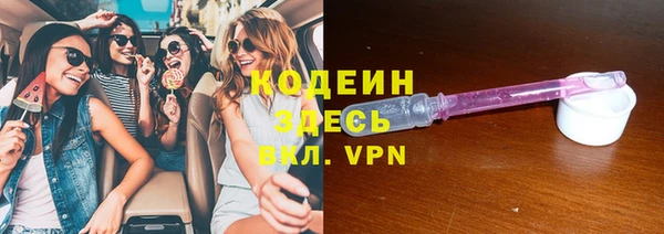 гашик Кодинск